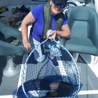 Carolyn Fowler pulled up this 38lb conger. They were fishing on their own Ilse of Wight based boat Gracy May and were fishing round the back of the Needles.