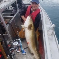 This is a 53lb cod caught by Dave Jones whilst fishing out of the Vesteralen Fishing camp in North Norway in June. The successful bait was a 3lb Coalfish Flapper hooked through the nostrils on a 10/0 circle hook. He landed it on an Abu Suveran 20/30lb class rod with a Shimano Talica 12 reel loaded with 60lb Diawa J-Braid. He is a member of Eastbourne Angling Association and was fishing with some of the other club members on a halibut fishing expedition.
