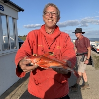 14 A lovely 1lb 4oz Red Gurnard for Bexhill angler Gary Rumsey which is now a Bexhill SAC club record