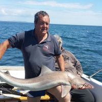 A 32lb tope caught by Ken Savage from Laugharne, West Wales on board Broadsword