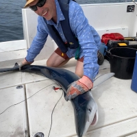 4 This is one of four blue sharks Kevin Andrews caught in his own boat Little Ned out of Falmouth