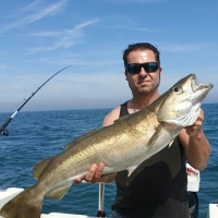 3.Previous Big Fish finalist John Dean with a 13lb pollack caught while live-baiting out of Shoreham on Castaway II