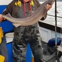 4.Nigel Fennell with an 18lb 4oz Spurdog caught on mackerel in 700ft of water out of Oban on Jack MacGregors boat Creagalla