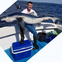 9. John Ebbs with his Irish specimen blue shark of 186cm on John Fleming’s boat Brazen Hussey out of Galway