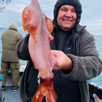 Keiron Guppy with a massive squid caught on Fins up from Portland 