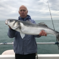 Mike Hansell with this wonderful 15lb 5oz winter bass caught on Lewis Hodders boat Pagasus. It is a new boat and Lyme Regis SAC record