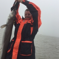 Steve Tipples with a 31lb Conger