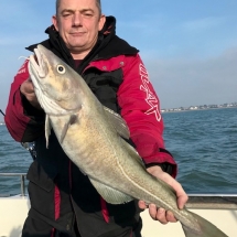 10lb cod caught in the Solent by James Pickton his boat Dream On